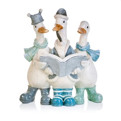 Premier-Trio-Of-Ducks-Choir