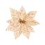 Premier-Champagne-Gold-Peacock-Jewelled-Poinsettia-Clip-On