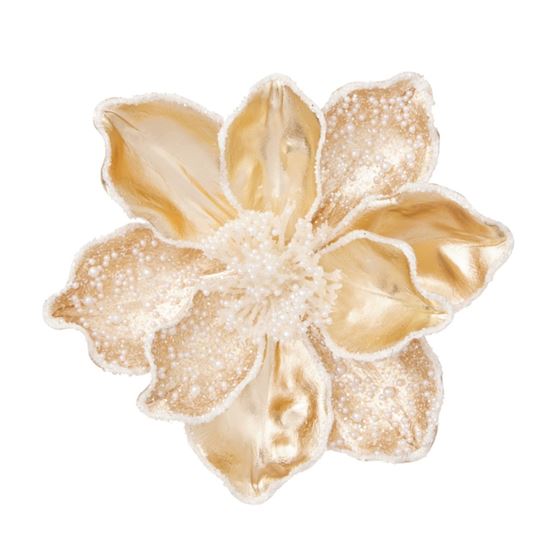 Premier-Champagne-Gold-Pearl-Bead-Magnolia-Clip-On