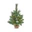 Premier-Gold-Crest-Tree-With-35-Warm-White-LEDs
