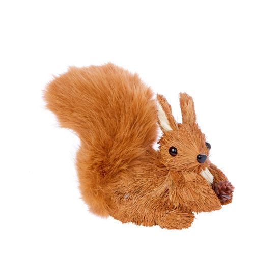 Premier-Squirrel-With-Fluffy-Tail