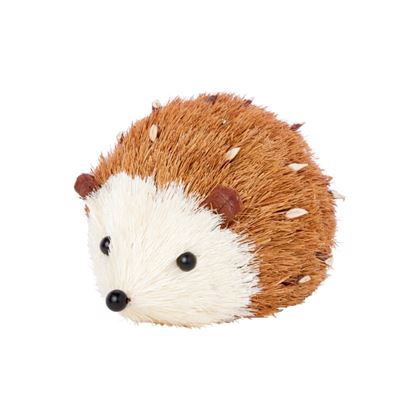 Premier-Spikey-Hedgehog