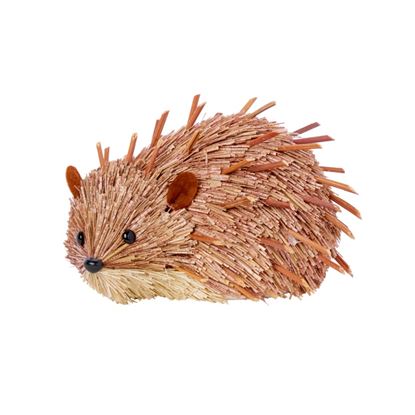 Premier-Spikey-Hedgehog