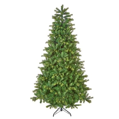 Premier-Barneswood-Spruce-Tree