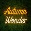 Premier-Autumn-Wonder-LED-Neon-Sign
