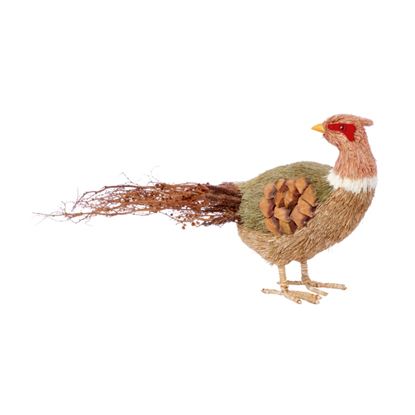 Premier-Pheasant-Looking-Back