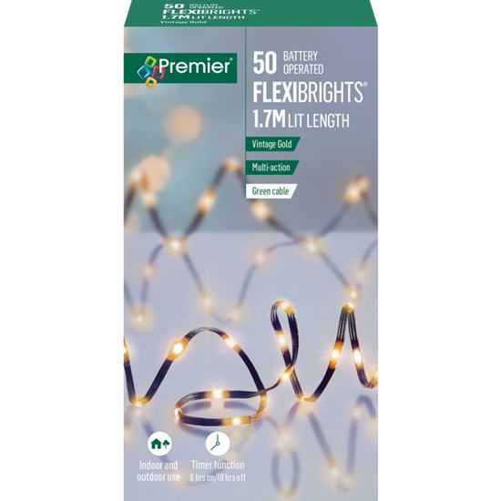 Premier-Multi-Action-LED-FlexiBrights-Timer