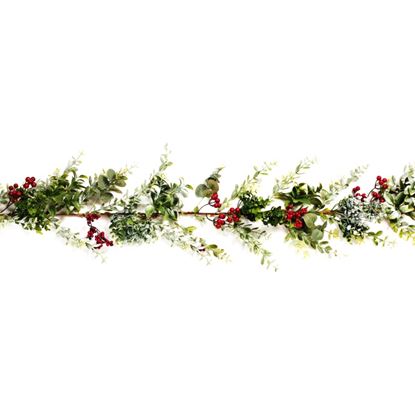 Premier-Cotoneaster-Garland