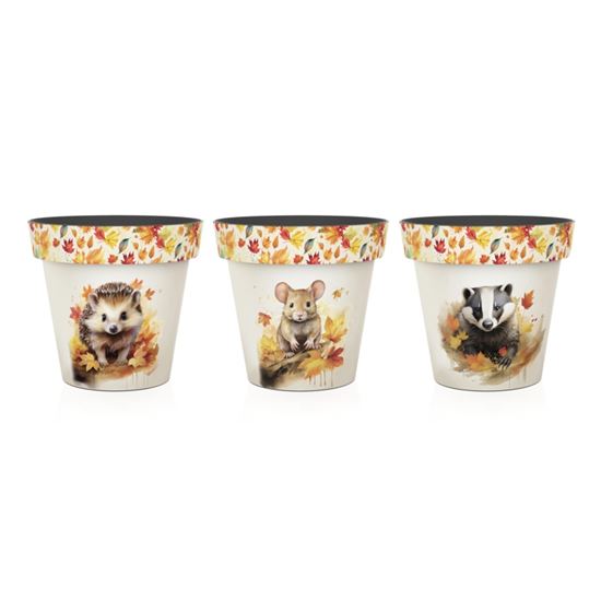 Premier-Finlay--Friends-Printed-Pots