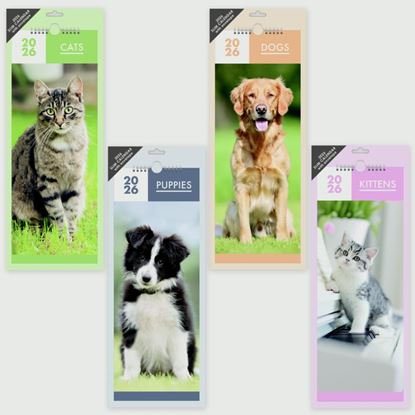 Ig-Design-Slimline-Calendar