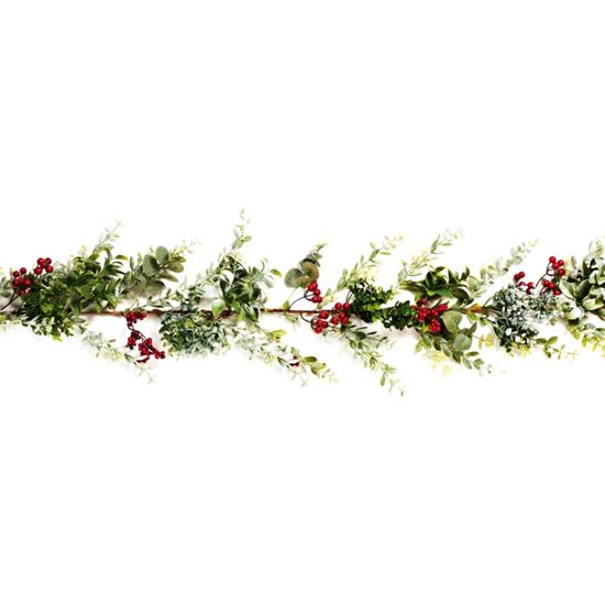 Premier-Cotoneaster-Garland