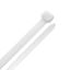 Securpak-Cable-Ties-White-200x48mm