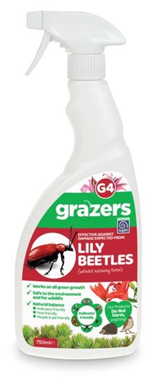 grazers-g4-lily-beetles