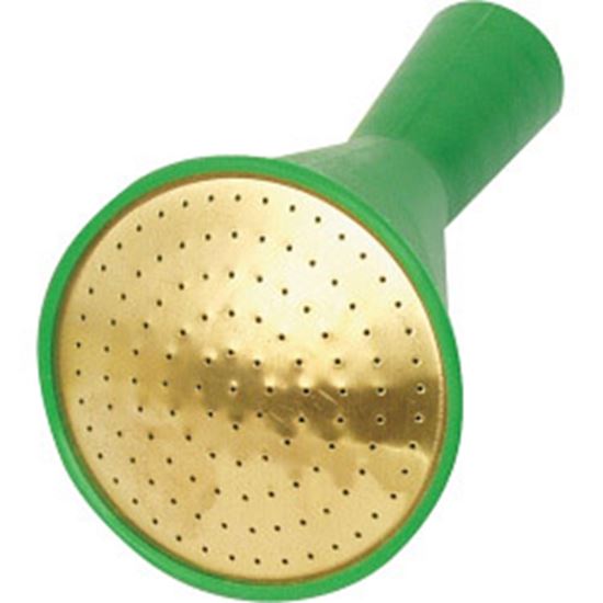 fine-as-rain-round-plastic-rose