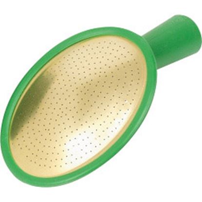 fine-as-rain-oval-plastic-rose