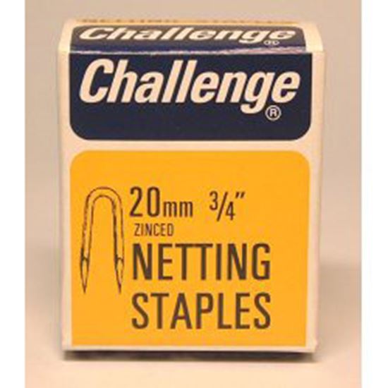 challenge-netting-staples---zinc-plated-box-pack