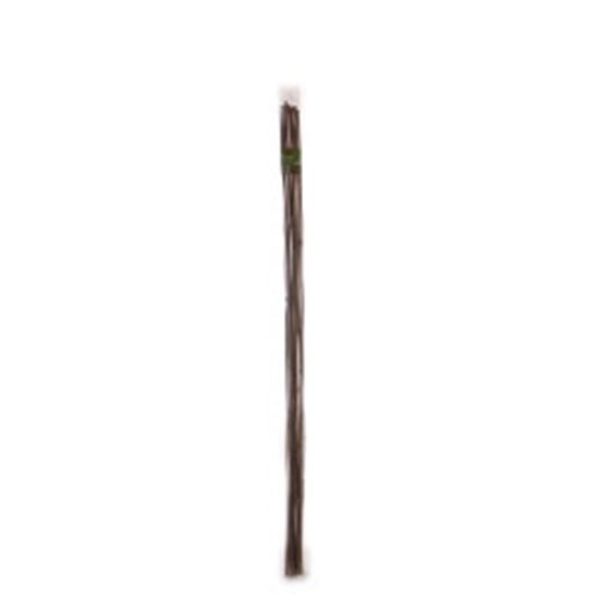 ambassador-bamboo-canes