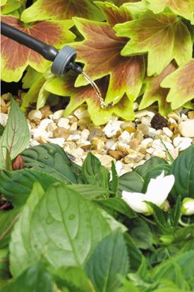 hozelock-4-lph-end-of-line-pressure-compensating-dripper