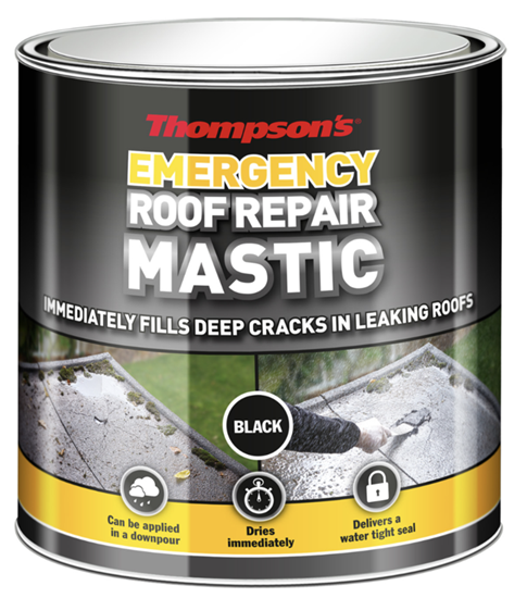 thompsons-emergency-roof-repair-mastic