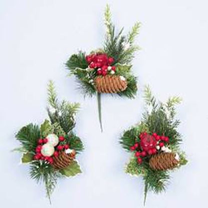 premier-berry-cone-pick