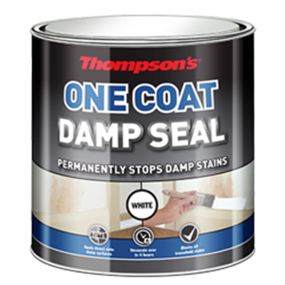 thompsons-one-coat-damp-seal