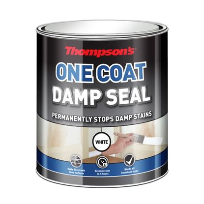 thompsons-one-coat-damp-seal
