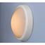 supalite-halogen-push-light
