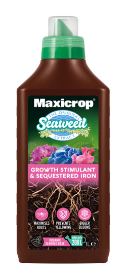 maxicrop-growth-stimulant--sequestered-iron