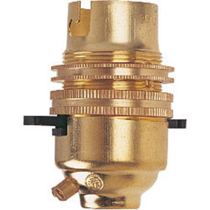 securlec-bc-brass-12-switched-lampholder-with-earth