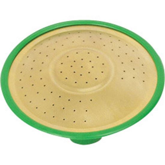 fine-as-rain-general-purpose-rose