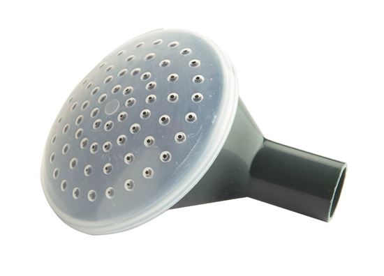 ward-coarse-round-rose