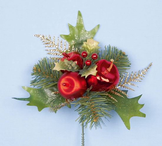 premier-holly-and-apple-pick