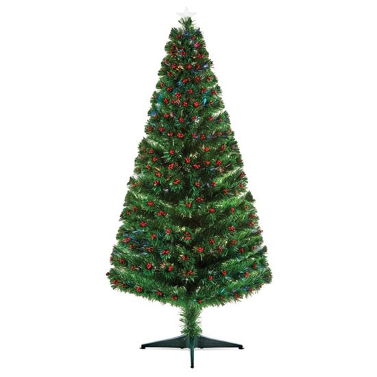 premier-tree-with-berries