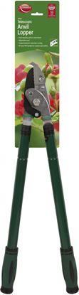 ambassador-telescopic-anvil-lopper