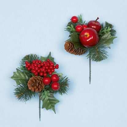 premier-red-berry-pick