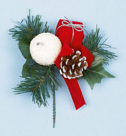 premier-red--white-apple--parcel-pick