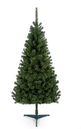 premier-douglas-fir-tree