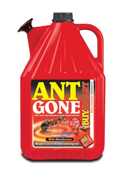 buysmart-ant-gone-watering-can