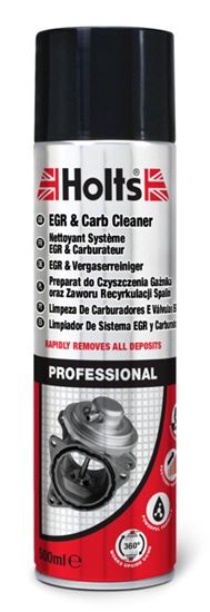 holts-egr--carb-cleaner-aerosol
