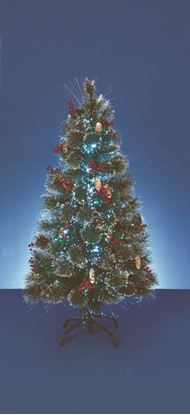 premier-snow-tipped-bottle-brush-tree