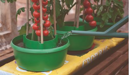 garland-plant-halos-green