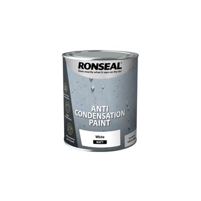 ronseal-anti-condensation-paint-white