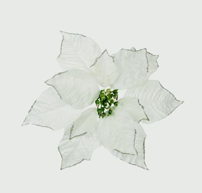 premier-poinsettia-clip