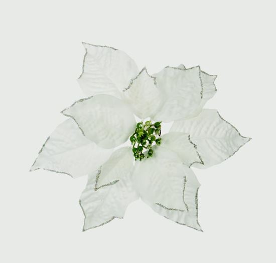 premier-poinsettia-clip