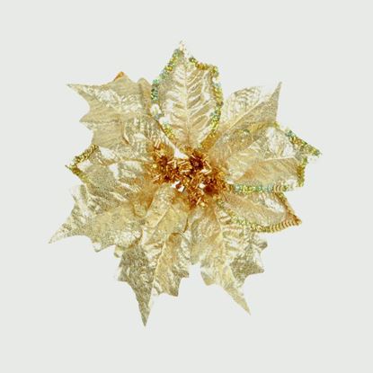 premier-poinsettia-clip