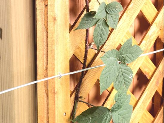 ambassador-galvanised-wire