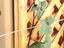 ambassador-galvanised-wire