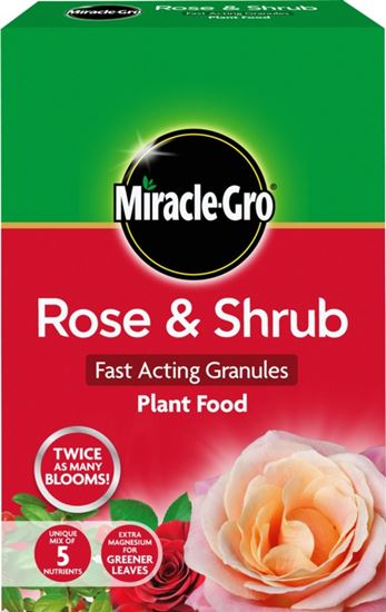 miracle-gro-rose--shrub-plant-food