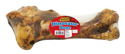 munch--crunch-dinosaur-bone