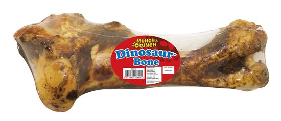 munch--crunch-dinosaur-bone